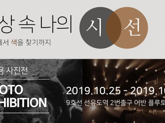 일상 속 나의 시선 : 흑백에서 색을 찾기까지